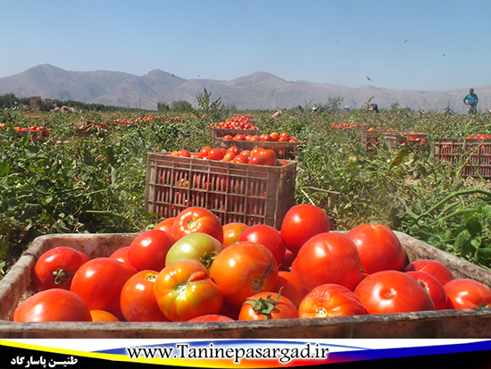 مروری بر اخبار و حوادث هفته گذشته استان از دریچه دوربین
