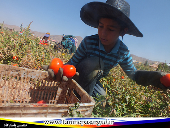 مروری بر اخبار و حوادث هفته گذشته استان از دریچه دوربین