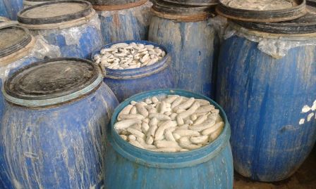 مروری بر اخبار و حوادث هفته گذشته استان از دریچه دوربین