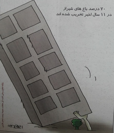 درخت‌های شیراز که چشم یانگوم‌ها را گرفت، آجر می‌شوند!