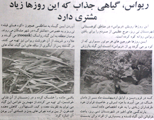 اقدام غیرحرفهایِ حرفهای ترین روزنامه فارس! اقدام غیرحرفهایِ حرفهای ترین روزنامه فارس!