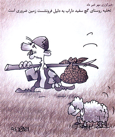 سالاد