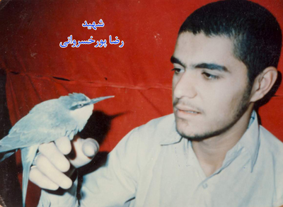 شهیدی که روای شهادت نردیکترین دوستان خود شد + تصاویر