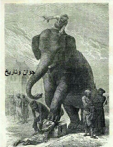 وقتی فیل جلاد می‌شود! + عکس
