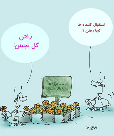 سالاد