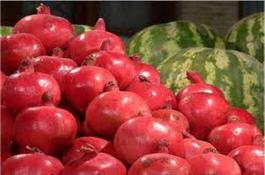 هزینه میوه و آجیل شب یلدا چقدر می‌شود؟