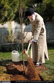 جنگلها و منابع باید از دستاندازی سوداگران حفظ شود/ مسئولان جز در موارد ضروری از واردات میوه جلوگیری کنند جنگلها و منابع باید از دستاندازی سوداگران حفظ شود/ مسئولان جز در موارد ضروری از واردات میوه جلوگیری کنند