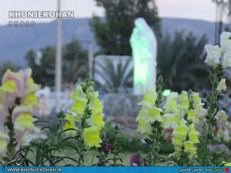 تصاویری زیبا از فضای سبز شهر خنج تصاویری زیبا از فضای سبز شهر خنج