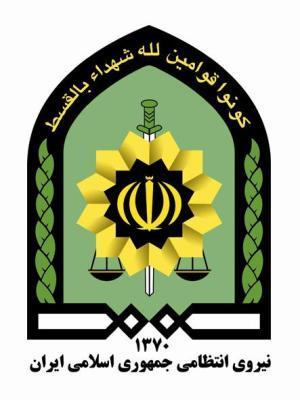 کامیون حامل لوبياي قاچاق ميلياردي در ممسنی متوقف شد
