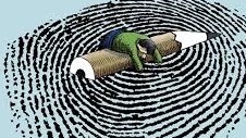 مقام هفتم باسوادی کشور متعلق به استان فارس است مقام هفتم باسوادی کشور متعلق به استان فارس است