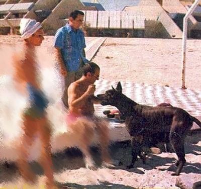 وقتی ملکه ایران همجنس باز بود!/ نجار سوئیسی دوست پسر زن اول مملکت وقتی ملکه ایران همجنس باز بود!/ نجار سوئیسی دوست پسر زن اول مملکت