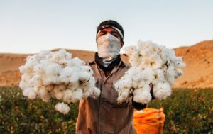 مرگ تدریجی صنعت پنبه مرگ تدریجی صنعت پنبه