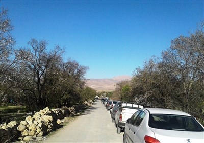 نوروز زیبا در شکوفه‌های بهاری مهارلو/ اینجا آب چشمه می‌جوشد+تصاویر