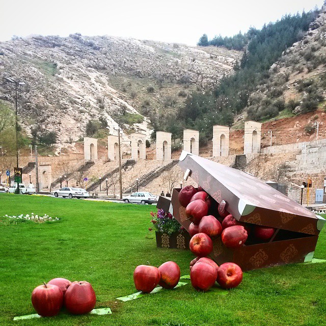 آب به اندازه برای آبیاری باغات داریم/ باغات شهری می بایست هدفمند و اقتصادی شوند