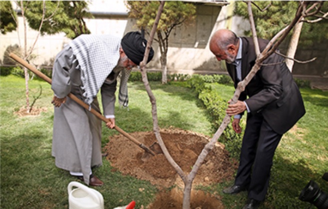 مسئولان مانع از بین رفتن درختان و باغات موجود در شهرها شوند