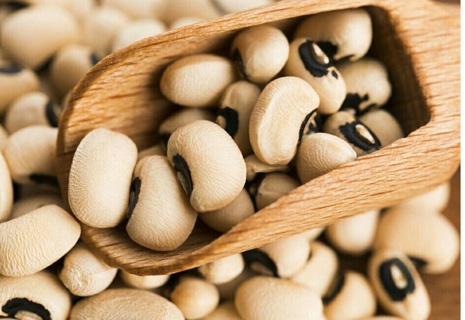خوراکیهای غیرلبنی سرشار از کلسیم را بشناسید خوراکیهای غیرلبنی سرشار از کلسیم را بشناسید