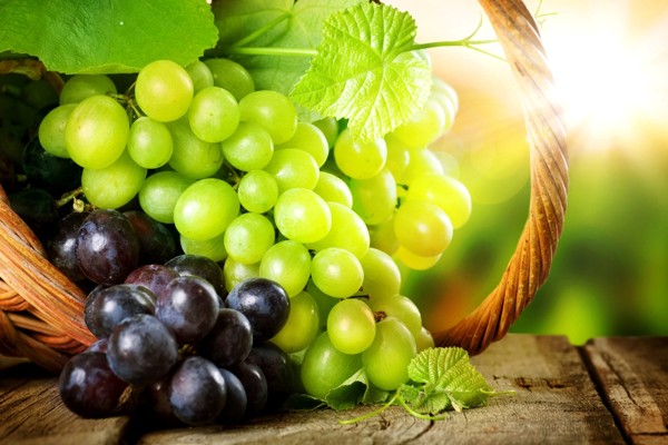 خاصیت شگفت انگیز انگور در کلام امام رضا (ع) خاصیت شگفت انگیز انگور در کلام امام رضا (ع)