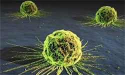 خطرات قرار گرفتن در معرض «آفتاب 10 صبح تا 3 بعداز ظهر»