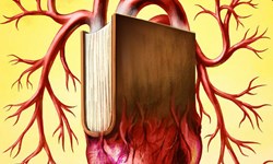 تفاوت مرگ مغزی و کما