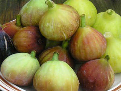 خواص میوه انجیر خواص میوه انجیر