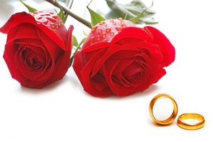 فرار هالیوودی عروس ایرانی از سوئد+ عکس