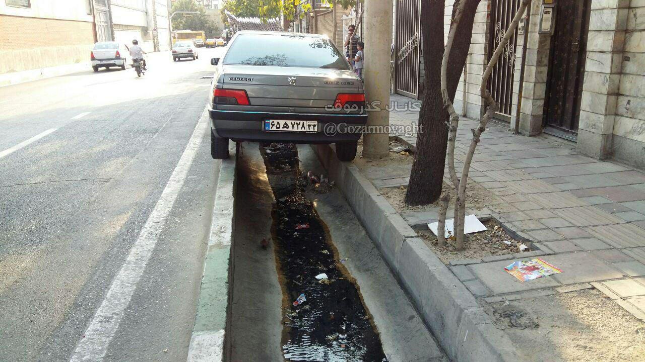 عکس/ هنر نزد ایرانیان است و بس!