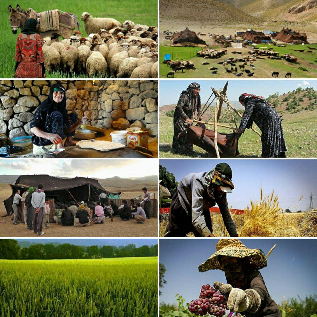 تخصیص یک و نیم میلیارد دلار به روستائیان جهت زمین نخوردن تولید/ ساخت و ساز خلاف قانون دلیل نبود گاز در بخشی از گویم/ گسترش شهر بهانه ای برای مسدود شدن ایل راه های عشایر!