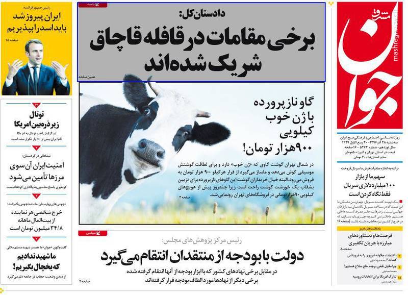 عکس/گاو نازپرورده با ژن خوب