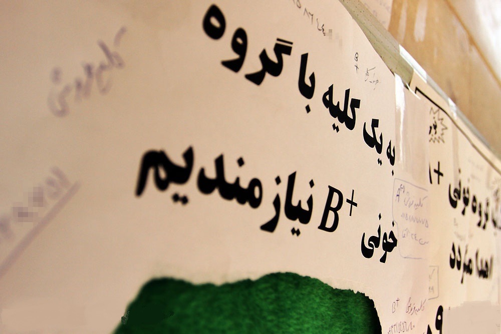 تحول بازار سنتی فروش کلیه به سمت بازار مدرن تحول بازار سنتی فروش کلیه به سمت بازار مدرن