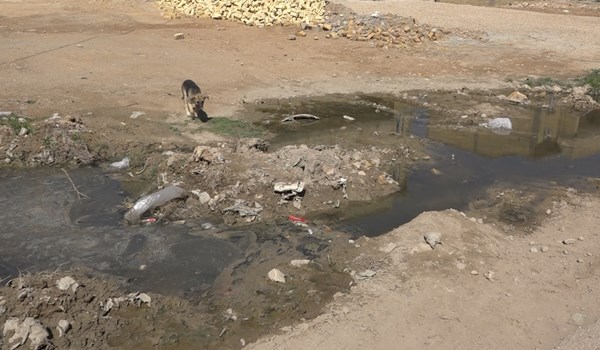 اینجا همه چیز جمع است؛ از ترک‌تحصیل و جمع‌آوری ضایعات بدلیل فقر گرفته تا سالَک و اعتیاد و فقدان آب آشامیدنی!