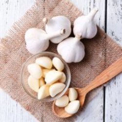 ازبین بردن بوی سیر با۱۰راه ساده وموثر