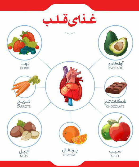 میوه های مفید برای قلب و عروق+اینفوگرافیک میوه های مفید برای قلب و عروق+اینفوگرافیک