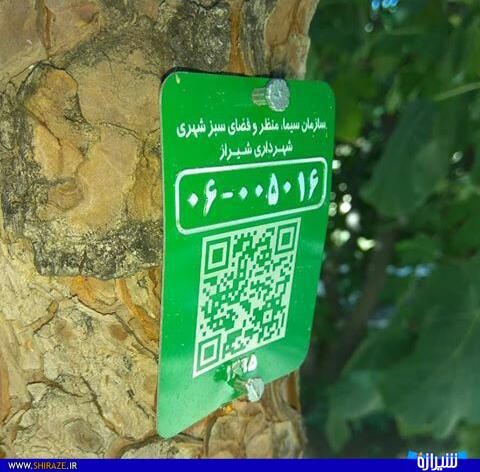 پلاک کوبی درختان