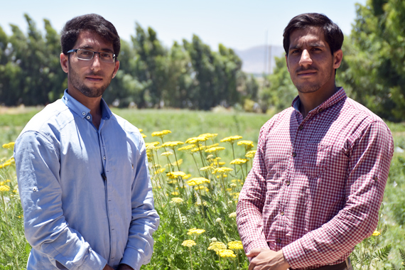 برای رسیدن به اهداف از دلسردی ها و موانع عبور کردیم/ هر سال گیاه جدیدی از گیاهان دارویی با ارزش اقتصادی بالا به بازار ارائه میکنیم برای رسیدن به اهداف از دلسردی ها و موانع عبور کردیم/ هر سال گیاه جدیدی از گیاهان دارویی با ارزش اقتصادی بالا به بازار ارائه میکنیم