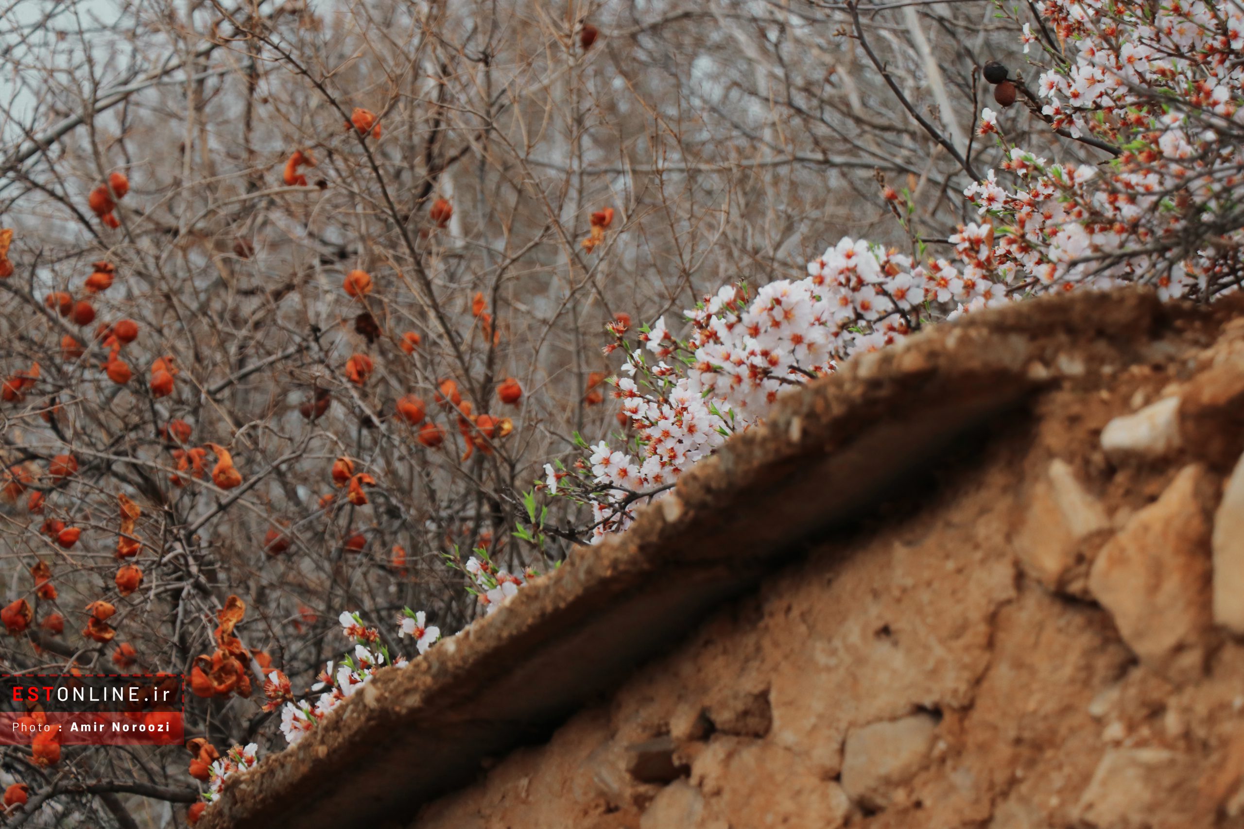 طبیعت زیبای ایج طبیعت زیبای ایج