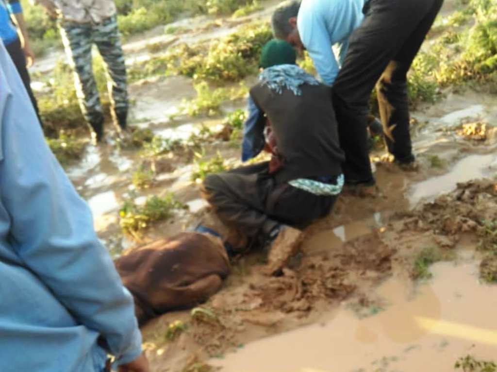 سیلاب در فسا جان چوپان را گرفت سیلاب در فسا جان چوپان را گرفت