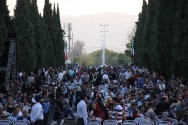 بیش از 12هزار نفر از مجموعه سعدیه رایگان بازدید کردند