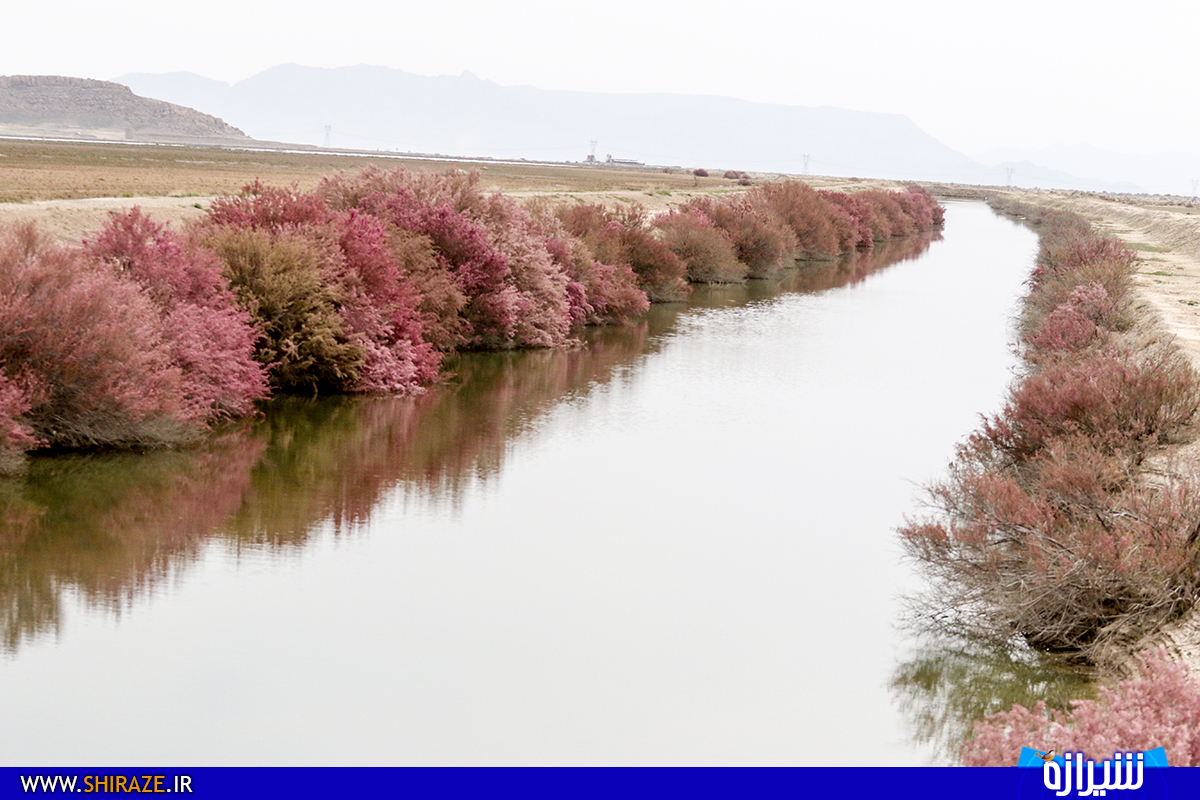 نیاز به آبرسانی تالاب ها در فصول کم آبی