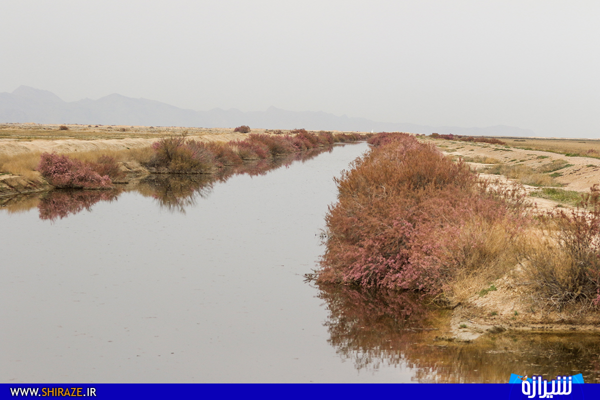 نیاز به آبرسانی تالاب ها در فصول کم آبی