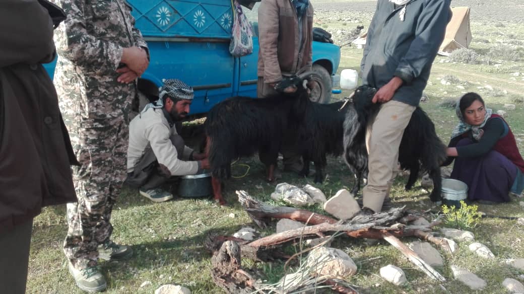 سرکشی و گشت زنی از عشایر در حال کوچ سرکشی و گشت زنی از عشایر در حال کوچ