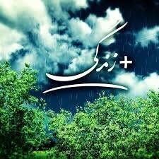 ۱۸۶ مرکز مثبت زندگی  در استان فارس افتتاح می‌شود