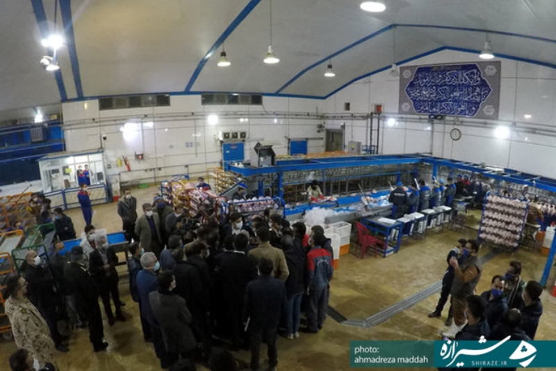 با متخلفان و گران‌‎فروشان برخورد جدی خواهد شد/سایه واسطه‌ها بر صنعت مرغ فارس