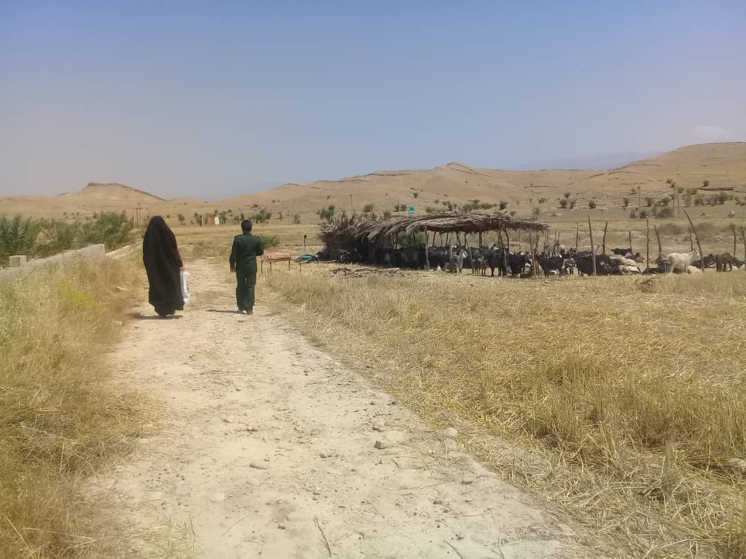 توزیع ۲۰۰ بسته مواد غذایی به مناسبت ۲۹ اردیبهشت بین عشایر منطقه بالاده ودادین