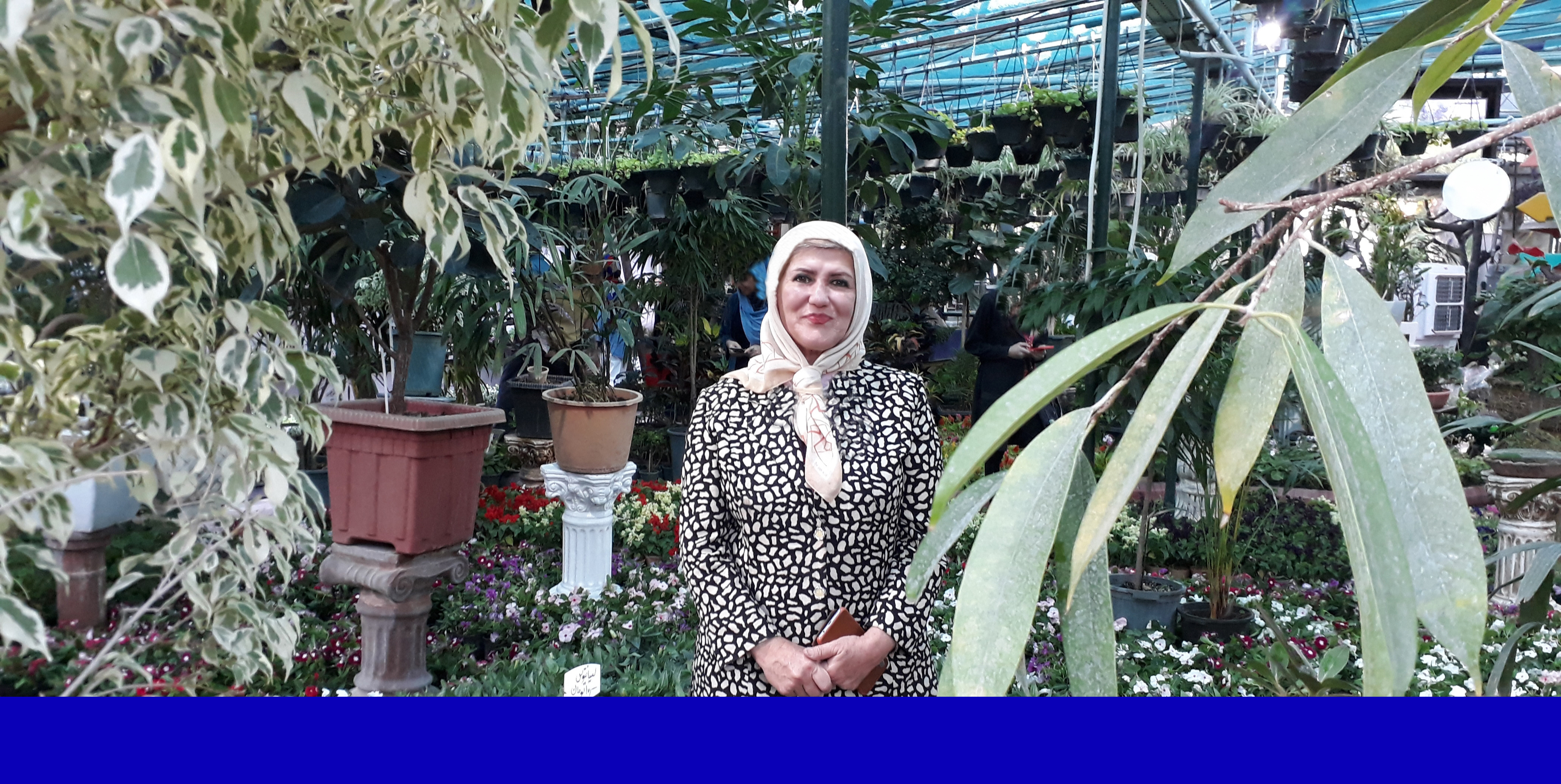 «فاطمه ارمغانی» کارآفرین نمونه ای که با عشق و محبت«گل های رویایی» می کارد