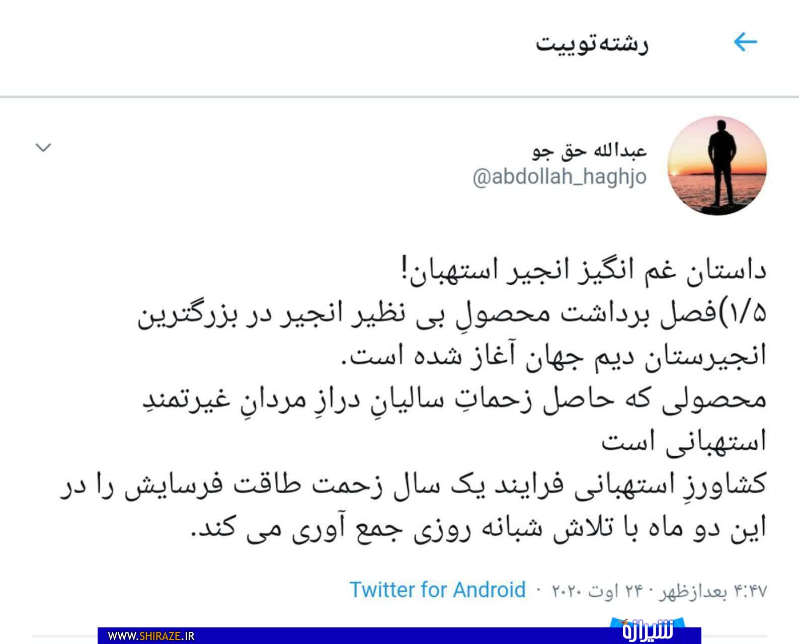 داستان غم انگیز انجیر استهبان! داستان غم انگیز انجیر استهبان!