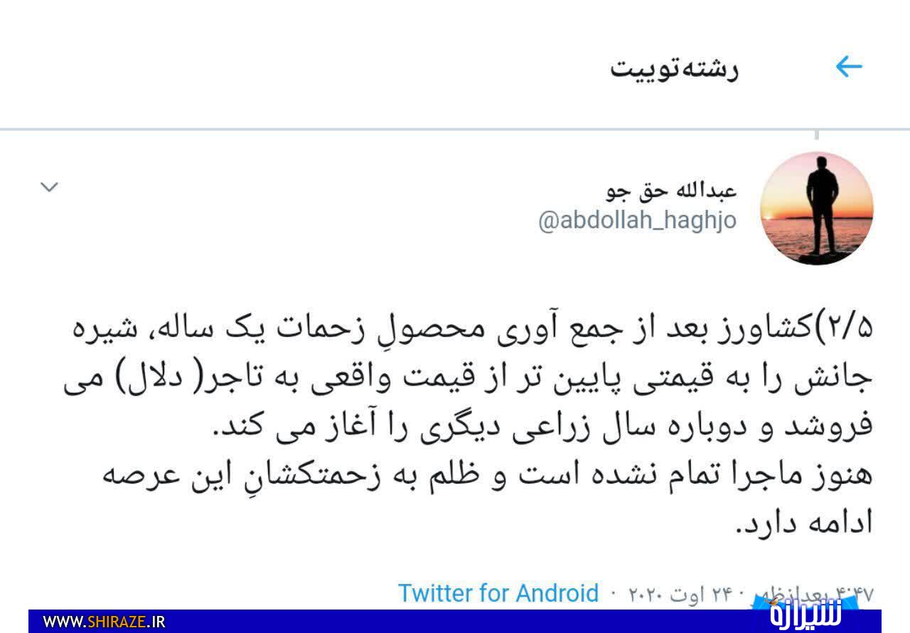 داستان غم انگیز انجیر استهبان! داستان غم انگیز انجیر استهبان!