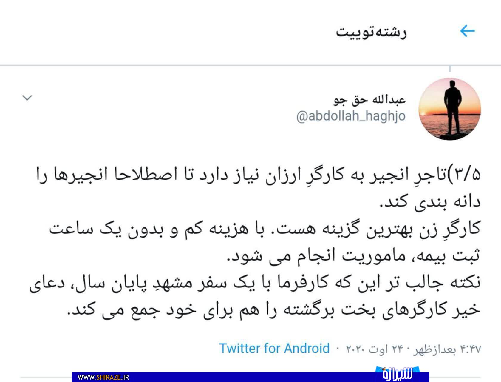 داستان غم انگیز انجیر استهبان! داستان غم انگیز انجیر استهبان!