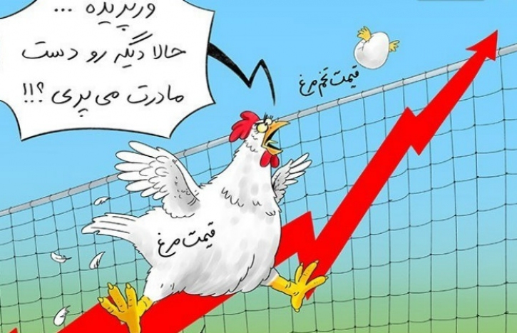 وعده های تو زرد در مورد کاهش قیمت تخم مرغ