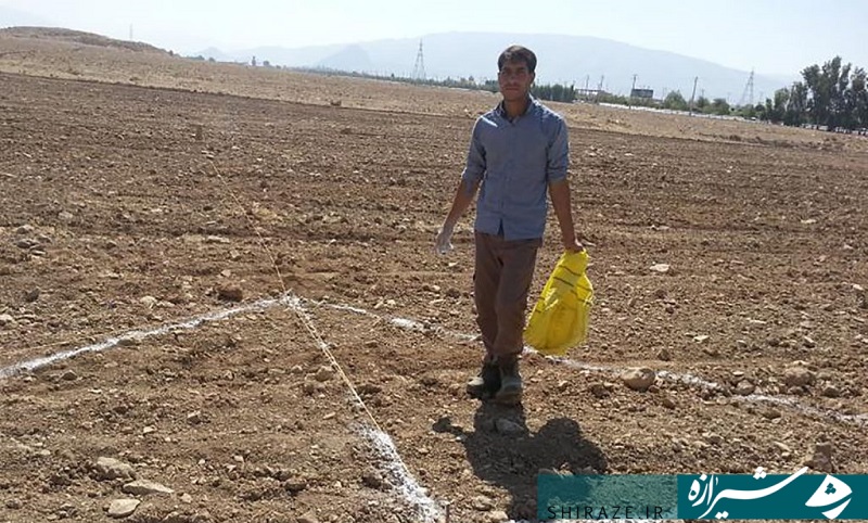 از سرمایه اولیه ۵۰۰ هزار تومانی تا بزرگترین تولید کننده نشا و برگ در کشور/ حکایت جوانی استان فارسی که پس از کارآفرینی به خودکفایی رسیده است