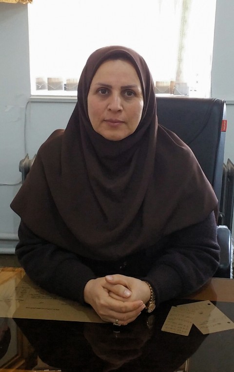 تأکید بر تأثیر هنر و رویکرد هنرمندان در تبیین و معرفی مکتب شهید سلیمانی